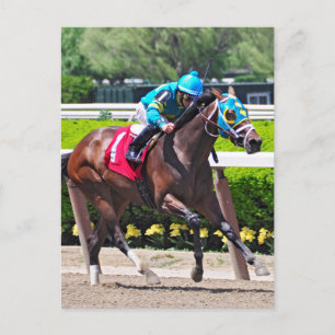 Red Velvet gewinnt die Jersey Girl Stakes Postkarte