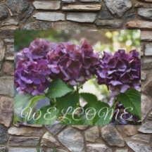 Red Violet Hydrangea Blooms Blumenwillkommen