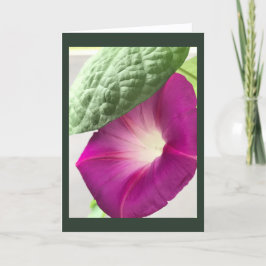 Red-Violet Morning Glory Blank Karte