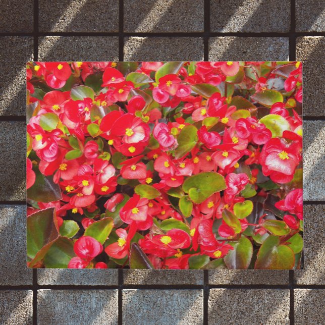 Red Wax Begonias Floral Fußmatte (In Situ)