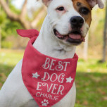 Red White Best Pet Hund Ever Funny Halstuch<br><div class="desc">Red White Best Pet Hund je lustig Bandana. Fügen Sie den Namen Ihres Hundes hinzu,  um einen lustigen Bandana für Ihren Haustier zu machen.</div>