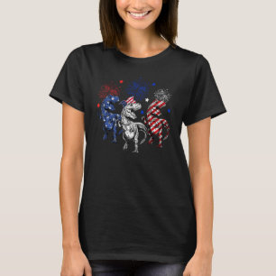 Red White Blue Rex Dinosaur Feuerwerk 4. Juli B T-Shirt