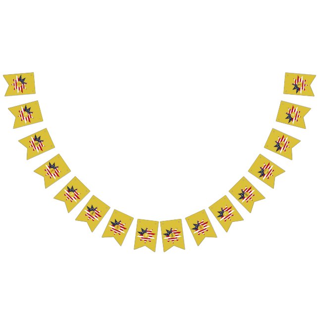 Red White Blue Star Wimpelkette (Alle)