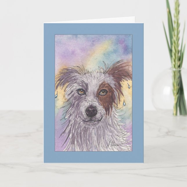 Red & White Border Collie, Dripping Wet, Blank Karte (Vorderseite)
