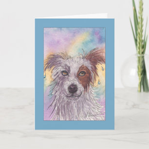 Red & White Border Collie, Dripping Wet, Blank Karte