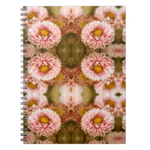 Red White China Aster Notizblock