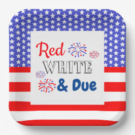 Red White & Due Baby Dusche Pappteller
