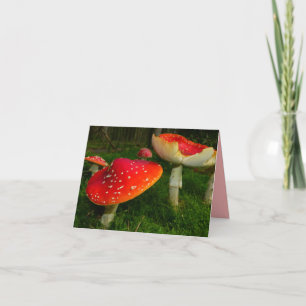 Red White Mushrooms Blank Foto Note Card Karte