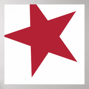 Red & White Star Poster