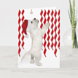 Red, White & Zigzags Westie Weihnachtskarte Feiertagskarte