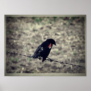 Red Wing Blackbird Imitate Vintag Poster