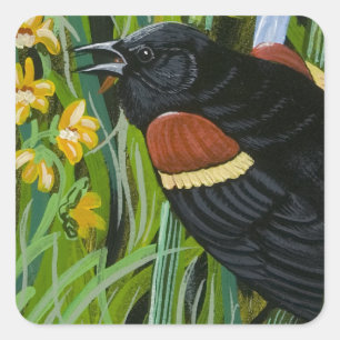 Red Wing Blackbird Quadratischer Aufkleber