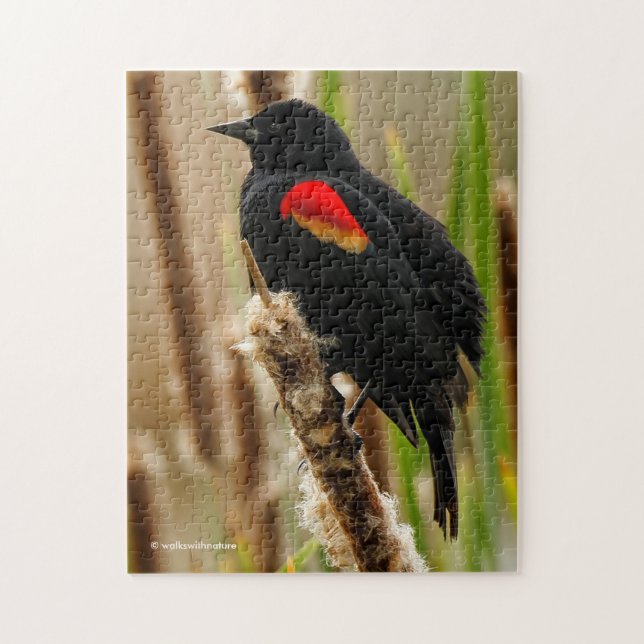 Red-Winged Blackbird auf dem Bulrush Puzzle (Vertikal)