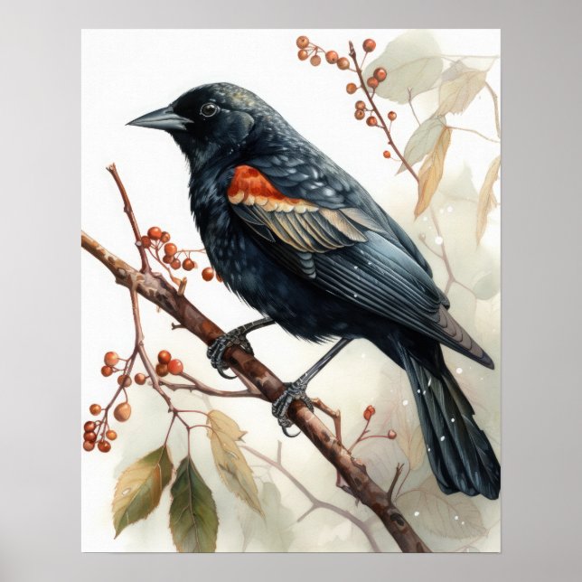 Red Winged Blackbird Bird Art Print Poster (Vorne)