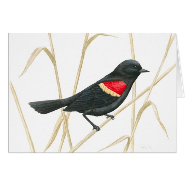 Red-Winged Blackbird Card (Vorderseite (Horizontal))