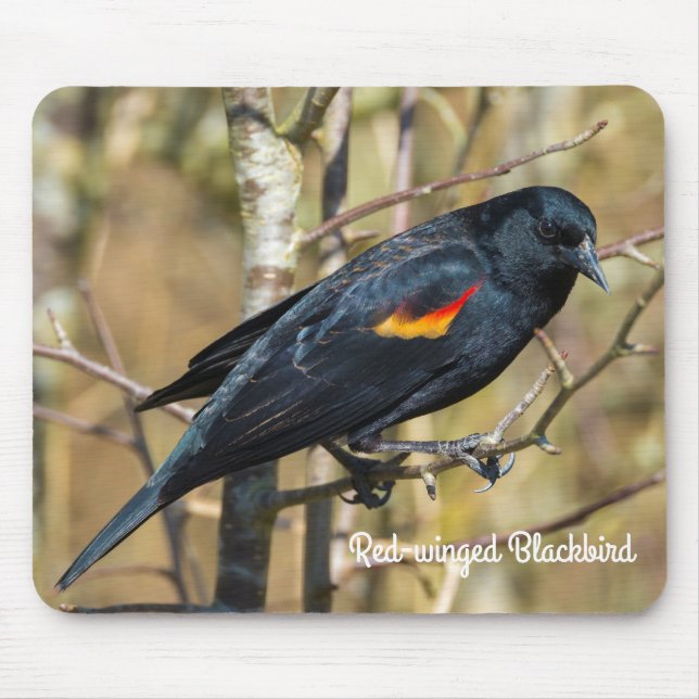 Red-Winged Blackbird Mousepad (Vorne)