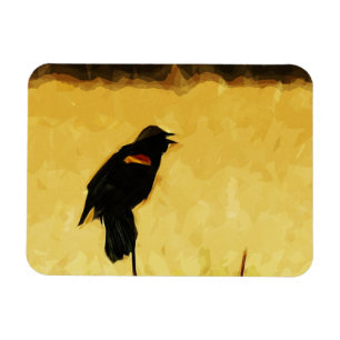 Red-Winged Blackbird singend Abstrakt Magnet
