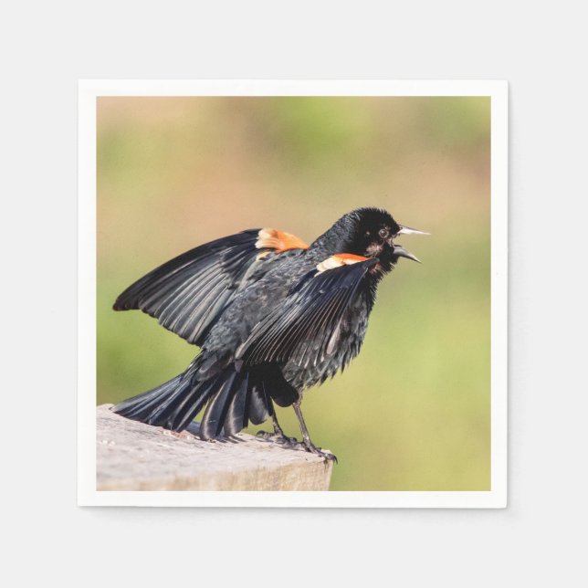 Red Winged Blackbird Singing Serviette (Vorderseite)