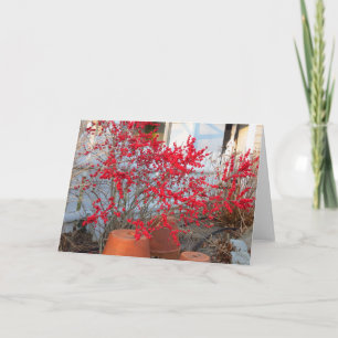 Red Winter Berries - Martha's Vineyard Karte