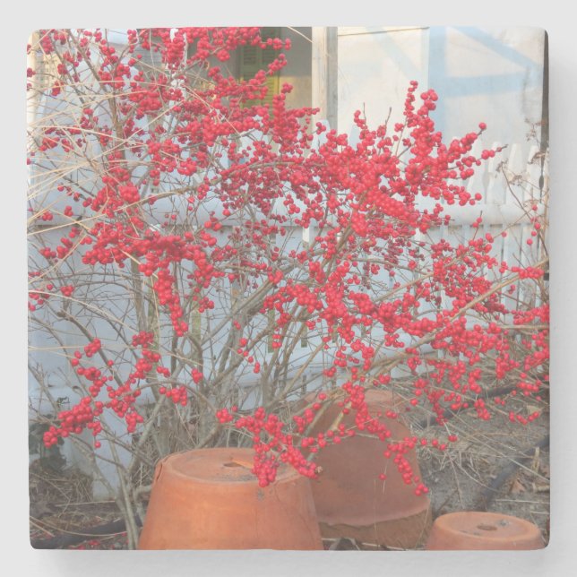 Red Winter Berries - Martha's Vineyard Steinuntersetzer (Vorderseite)