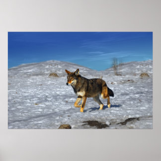 Red Wolf Winter Februar 2011 Poster