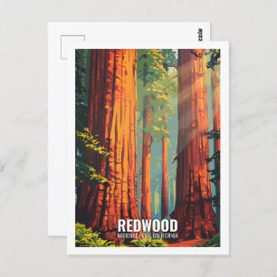 Red Wood National Park California USA Postkarte