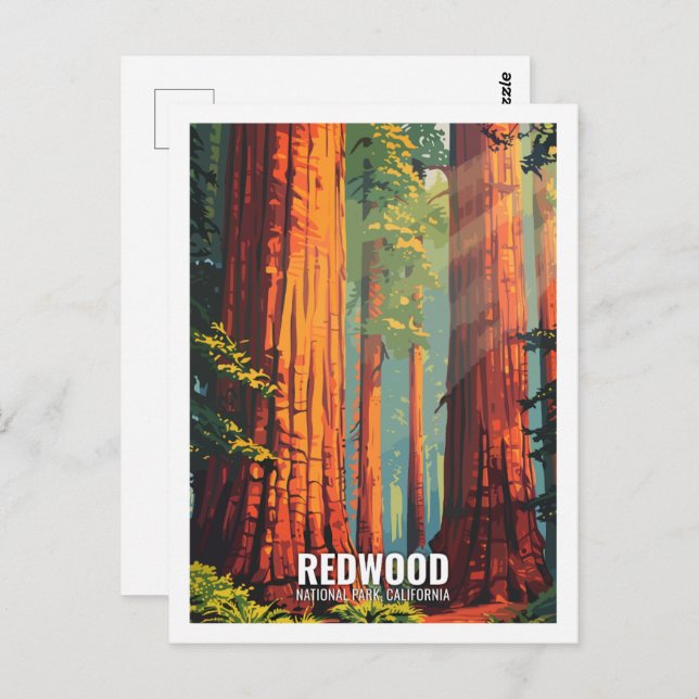Red Wood National Park California USA Postkarte (Vorne/Hinten)