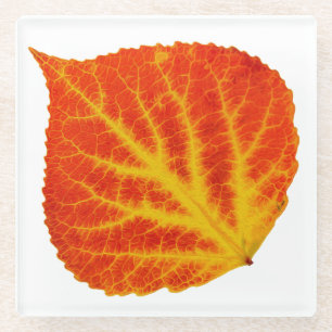 Red & Yellow Aspen Leaf #10 Glasuntersetzer