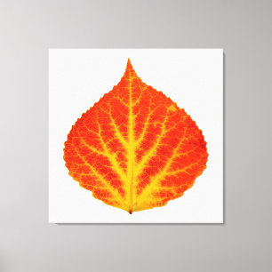 Red & Yellow Aspen Leaf #10 Leinwanddruck