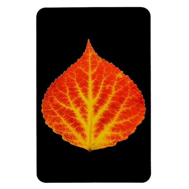 Red & Yellow Aspen Leaf #10 Magnet (Vertikal)