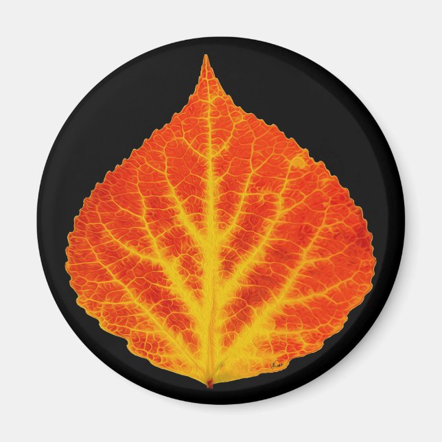 Red & Yellow Aspen Leaf #10 Magnet (Vorne)