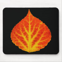 Red & Yellow Aspen Leaf #10