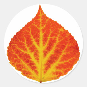 Red & Yellow Aspen Leaf #10 Runder Aufkleber