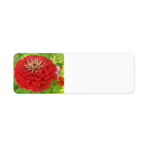 Red Zinnia-Adressetiketten