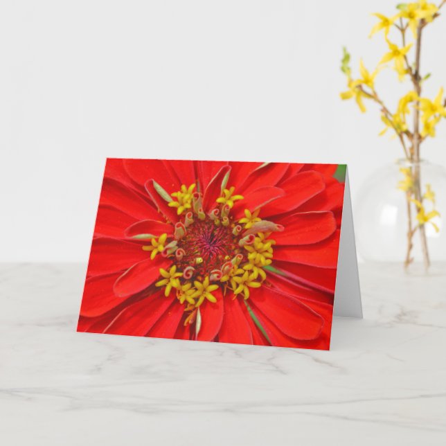 Red Zinnia Blume Nah Up Art Note Card Karte (Gelbe Blume)
