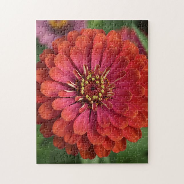 Red zinnia - floral Puzzle with Gift Box (Vertikal)