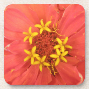 Red Zinnia Macro Cork Untersetzer
