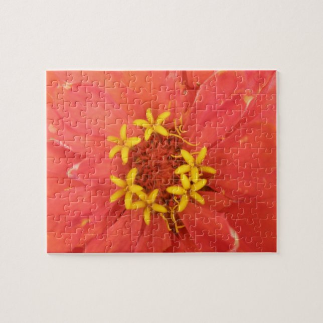 Red Zinnia Macro Puzzle (Horizontal)