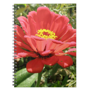 Red Zinnia Notebook Notizblock