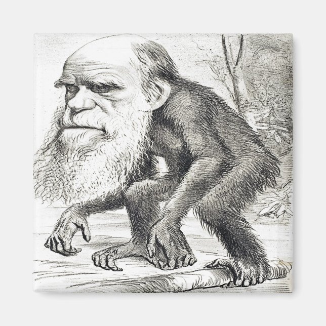 Redaktionelle Cartoon von Charles Darwin 1871 Magnet (Vorne)