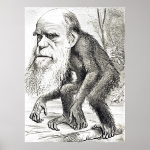 Redaktionelle Cartoon von Charles Darwin 1871 Poster
