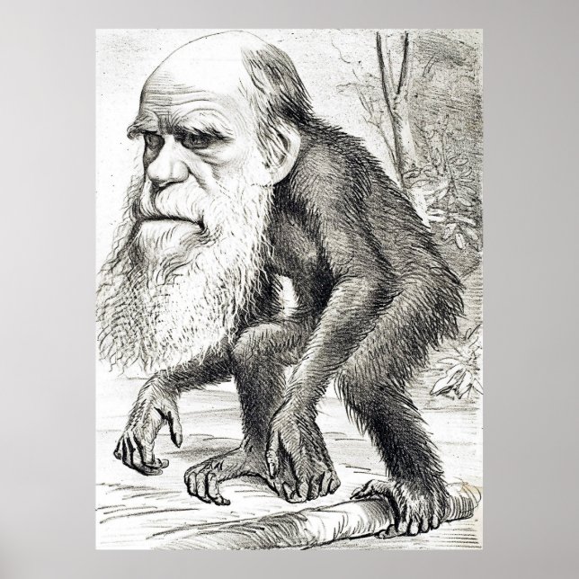 Redaktionelle Cartoon von Charles Darwin 1871 Poster (Vorne)