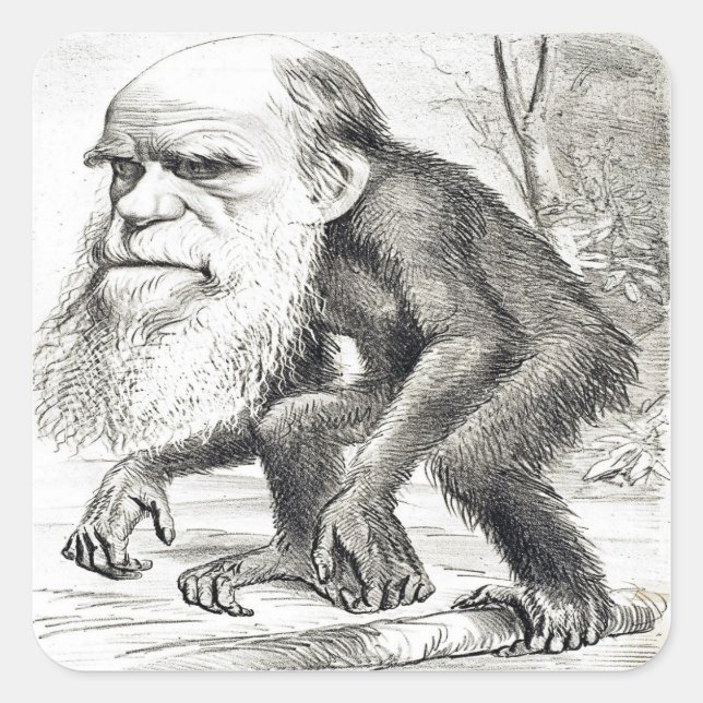 Redaktionelle Cartoon von Charles Darwin 1871 Quadratischer Aufkleber (Vorderseite)