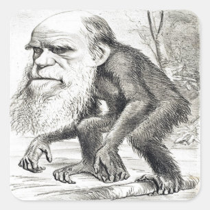Redaktionelle Cartoon von Charles Darwin 1871 Quadratischer Aufkleber