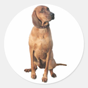 Redbone Coon Hound (A) Runder Aufkleber