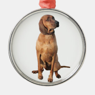 Redbone Coon Hound (A) Silbernes Ornament