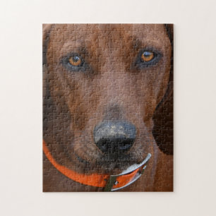 Redbone Coonhound graviert Puzzle