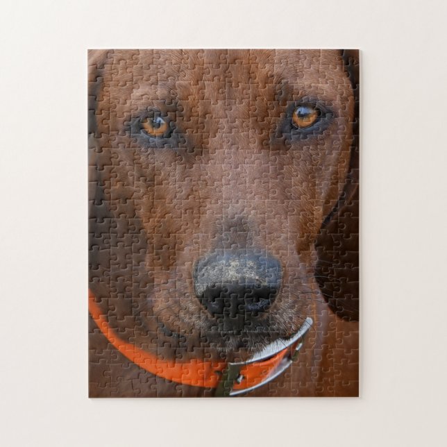 Redbone Coonhound graviert Puzzle (Vertikal)