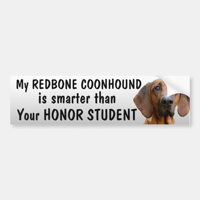 Redbone Coonhound - intelligenter als Student - Autoaufkleber (Vorne)