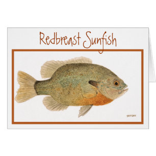 Redbreast Sunfish-Karte